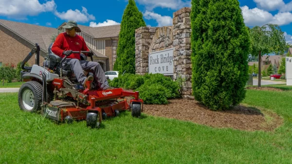 Commercial Landscape Maintenance